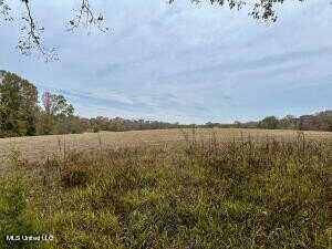 2 Lifer Road, Clinton, MS 39056