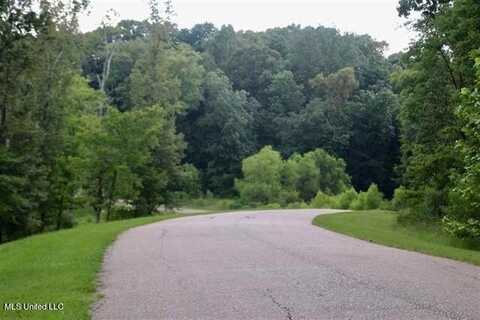 Lot 91 Moonlight Hollow, Flora, MS 39071