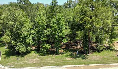 0 Cedar Hill Way, Clinton, MS 39056