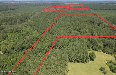 Holly Bush Road, Pelahatchie, MS 39145