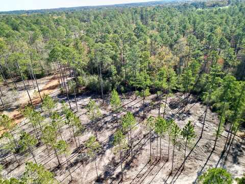 Lot 6 Laughlin Lane, Poplarville, MS 39470