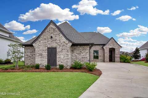 119 Shore View Drive, Madison, MS 39110