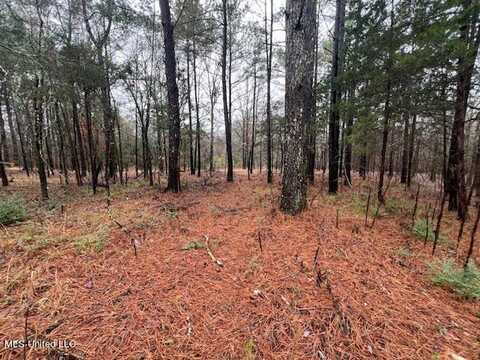 499 Louise Road, Byhalia, MS 38611