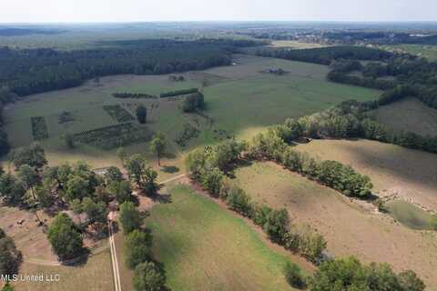 Harrell Road, Pelahatchie, MS 39145