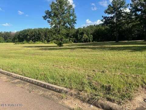 0000 Morgan'S Lane, Brandon, MS 39042