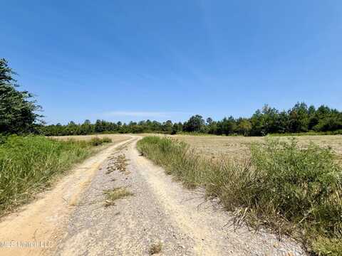 433 Firetower Road, Camden, MS 39045