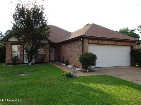 355 Wicklow Circle, Brandon, MS 39047