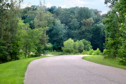 Lot 107 Chestnut Hill Road, Flora, MS 39071