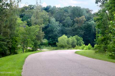 Lot 102 Chestnut Hill Road, Flora, MS 39071