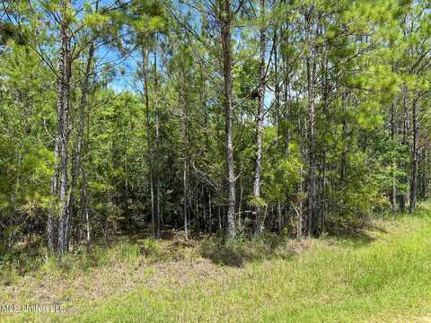 Lot 38 Sampras Boulevard, Vancleave, MS 39565