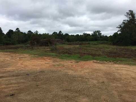 0 Highway 80 Highway, Forest, MS 39074