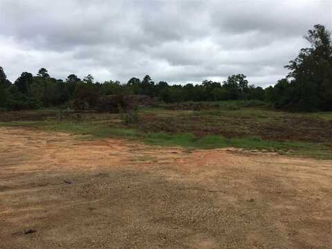 0 Highway 80 Highway, Forest, MS 39074