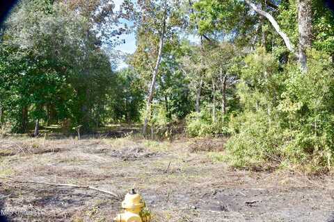 Lot F Courtenay Avenue, Pass Christian, MS 39571