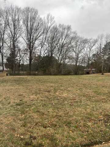 0 Trace Drive Lot #71 Drive, Jackson, MS 39213