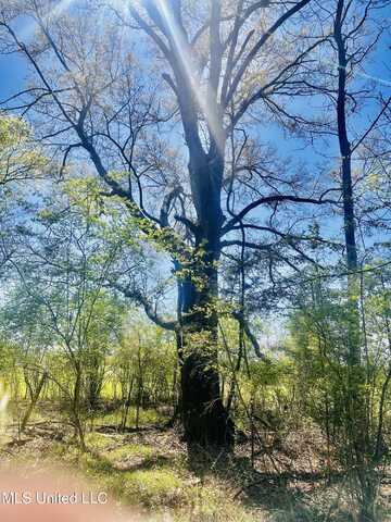 00 Little Rock Road, Crystal Springs, MS 39059