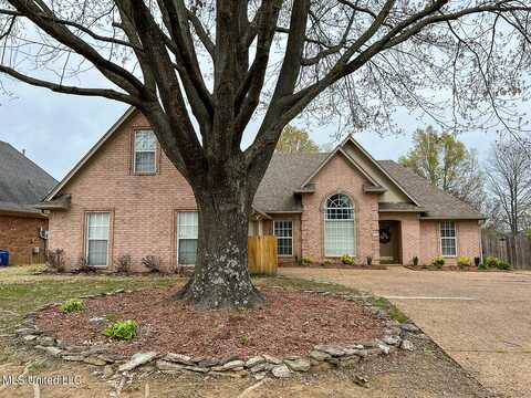 9192 Plantation Lakes Drive, Olive Branch, MS 38654