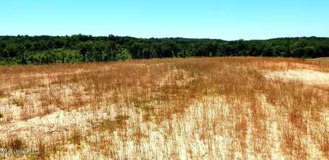 103 Hugh White State Park Road, Grenada, MS 38901