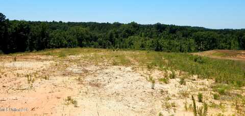 806 Hugh White State Park Road, Grenada, MS 38901