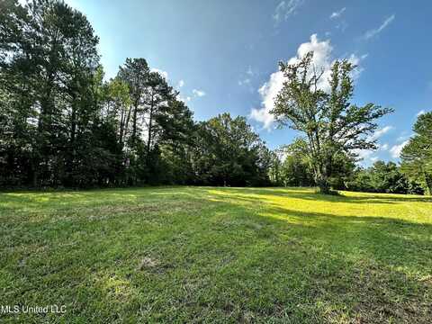 1204 Robinson Road, Canton, MS 39046