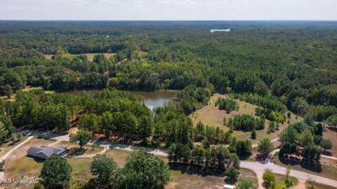 Robinson Springs Road, Madison, MS 39110