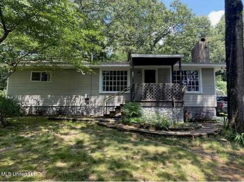 262 Snow Lake Drive, Ashland, MS 38603