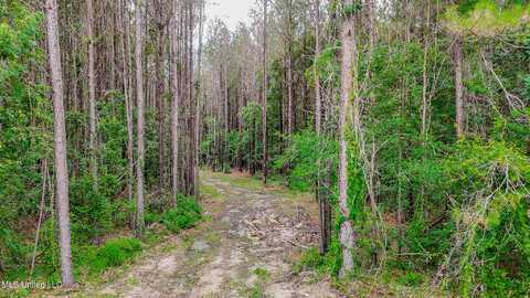 0 Sand Hill Road, Pisgah, MS 39047