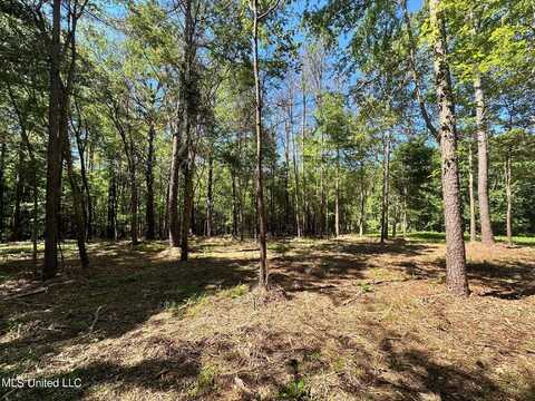 2 Robinson Road, Canton, MS 39046