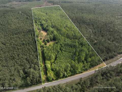 Herman Ladner Road, Saucier, MS 39574