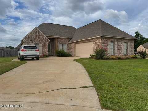 100 Leah Cove, Canton, MS 39046