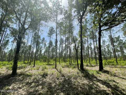 Ramsey Road, Saucier, MS 39574