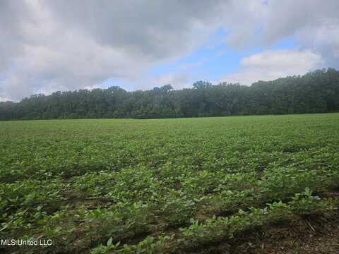 Banks Road Road, Canton, MS 39046