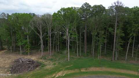 1227 Patriotic Circle, Brandon, MS 39047