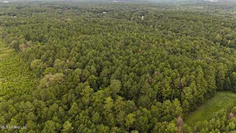 Dennis Knight Road, Collins, MS 39428