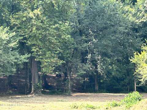 1 Fogg Road, Nesbit, MS 38651