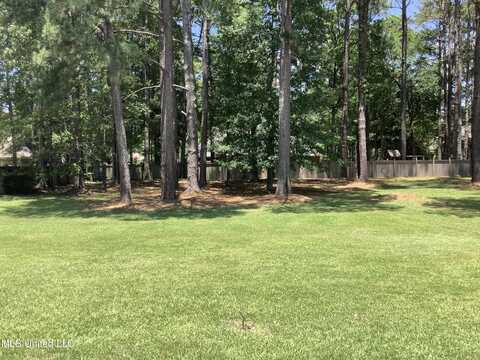 97 Grandview Circle, Brandon, MS 39047