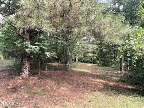 00 Mollett Road, Benton, MS 39039