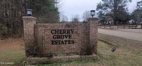 0 Edward Owens Drive, Terry, MS 39170