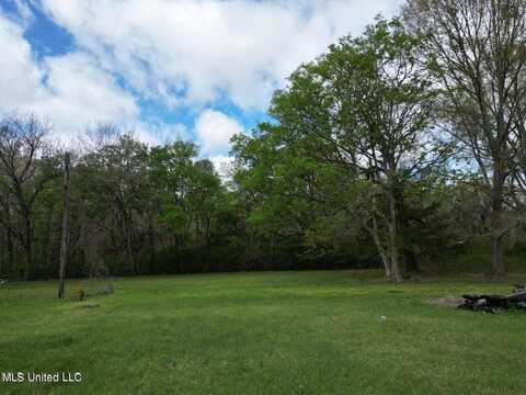 3573 N Liberty Street, Canton, MS 39046