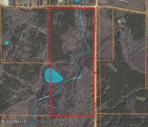 Walnut Road, Carthage, MS 39051