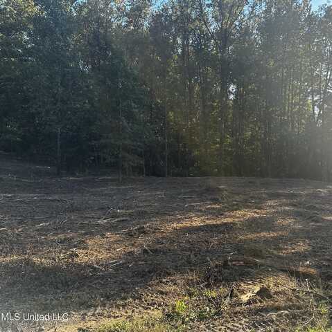 Lot 15 Michael Drive, Lake Cormorant, MS 38641