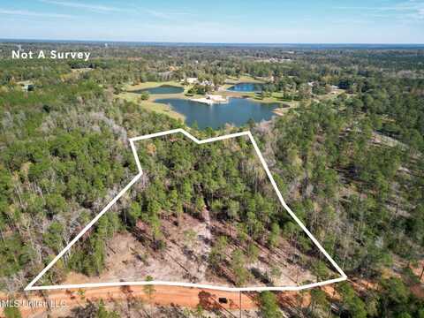 Lot 17 Laughlin Lane, Poplarville, MS 39470