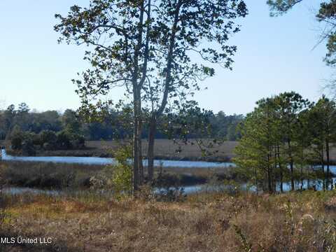 00 Sauvolle Ct Court, Ocean Springs, MS 39564