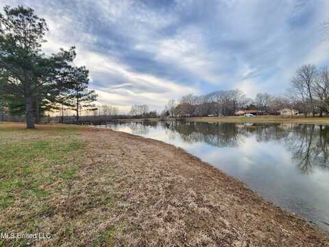 Claridge Court, Horn Lake, MS 38637