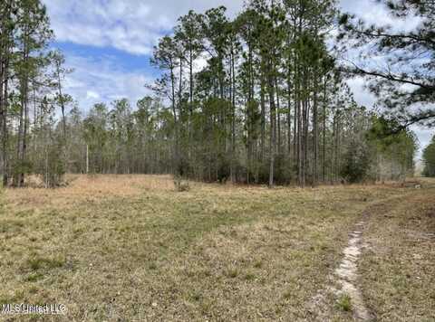 Ms-43 Parcel 1, Kiln, MS 39556