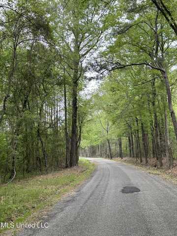 Lone Pine Church Road, Lena, MS 39094