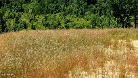 104 Hugh White State Park Road, Grenada, MS 38901