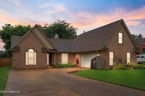 9133 Plantation Lakes Dr Drive, Olive Branch, MS 38654