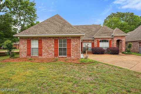 107 Primrose Landing Landing, Clinton, MS 39056