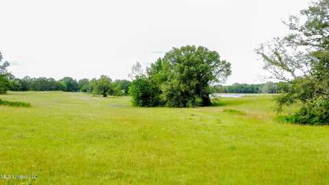 4820 Clinton Tinnin Road, Clinton, MS 39056