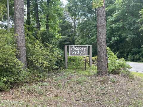 00 Hickory Ridge Subdivision Drive, Picayune, MS 39466